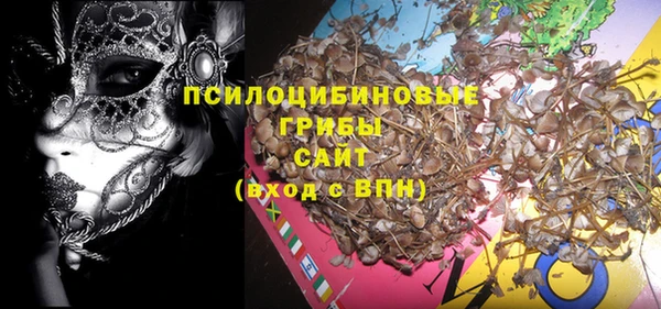 бутират Горняк