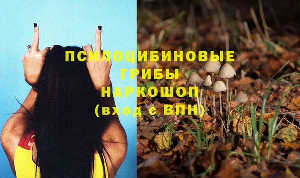 бутират Горняк